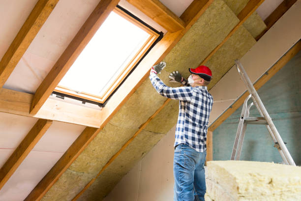 Best Blown-In Insulation in Amador Pines, CA